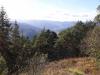 Balade en Alsace l'été