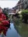 Balade en Alsace l'été