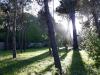 Balades en Cotentin