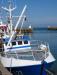 Balades en Cotentin