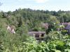 La forêt d'Ecouve