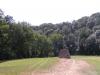 La forêt d'Ecouve