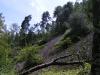 La forêt d'Ecouve
