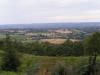 La forêt d'Ecouve