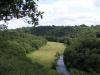 La forêt d'Ecouve