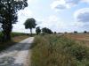 La forêt d'Ecouve