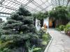 Jardin botanique de Montréal