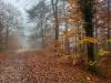 Balades en champagne Novembre 2025