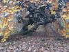 Balades en champagne Novembre 2025