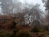 Balades en champagne Novembre 2025