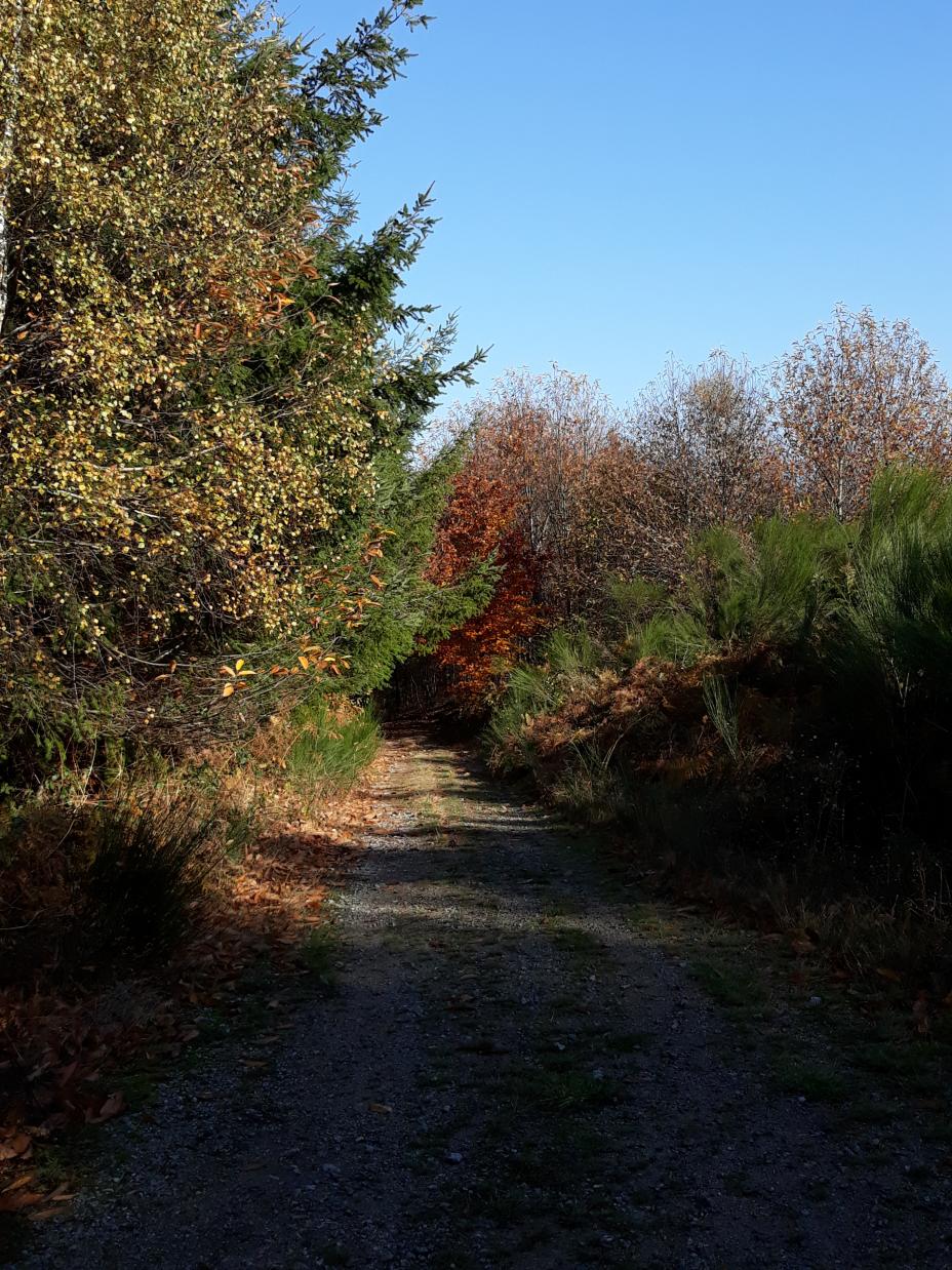 Balade en limousin