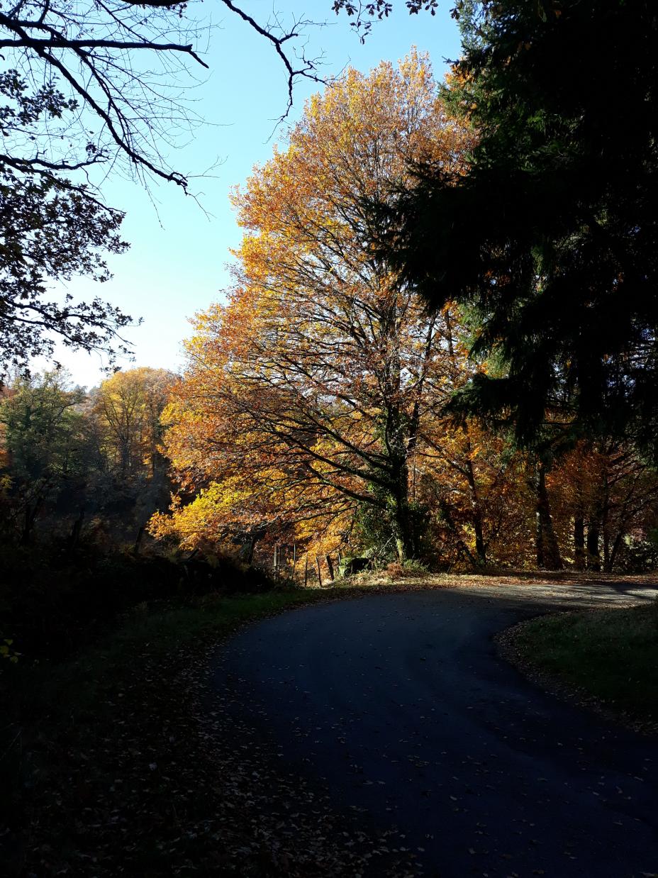 Balade en limousin