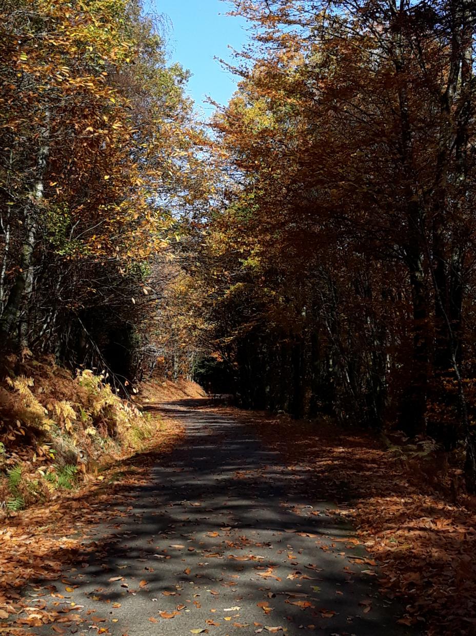 Balade en limousin