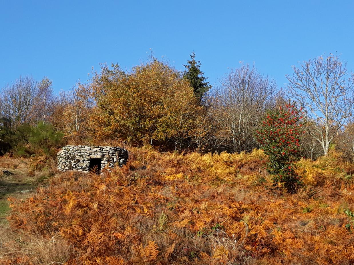 Balade en limousin