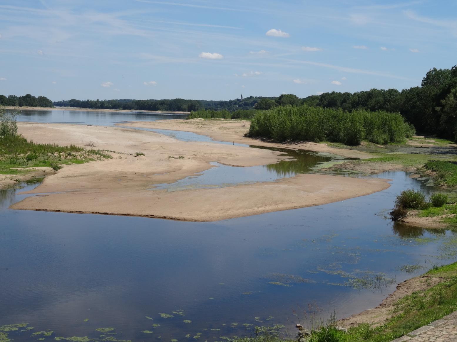 Balade sur les rives de la Loire (Vallée de la Loire)