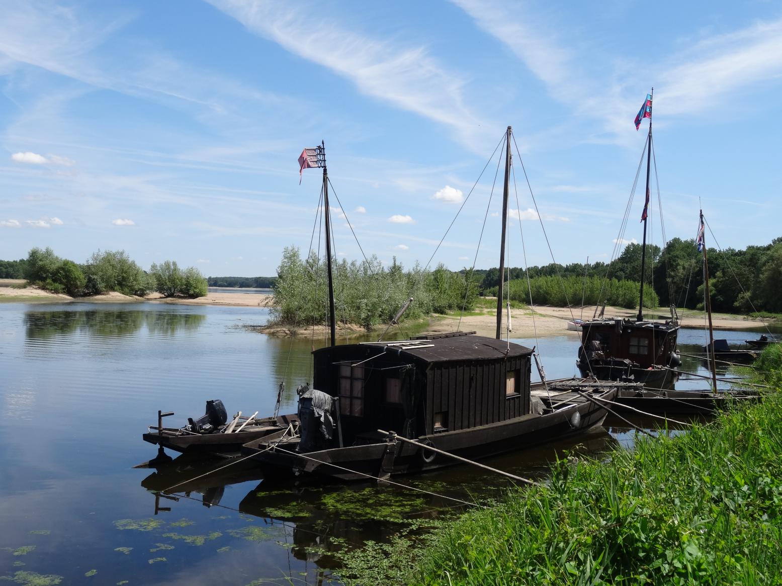 Balade sur les rives de la Loire (Vallée de la Loire)