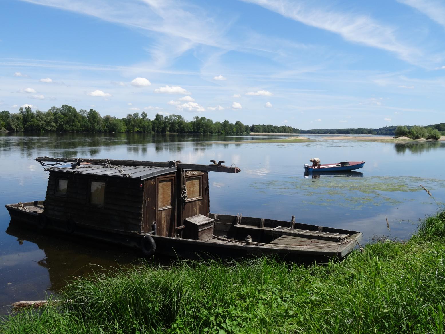 Balade sur les rives de la Loire (Vallée de la Loire)