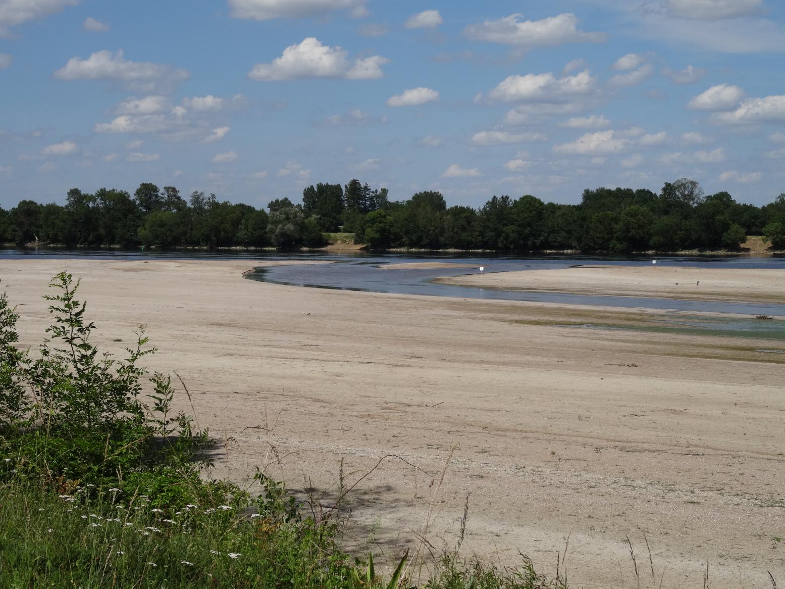 Balade sur les rives de la Loire (Vallée de la Loire)