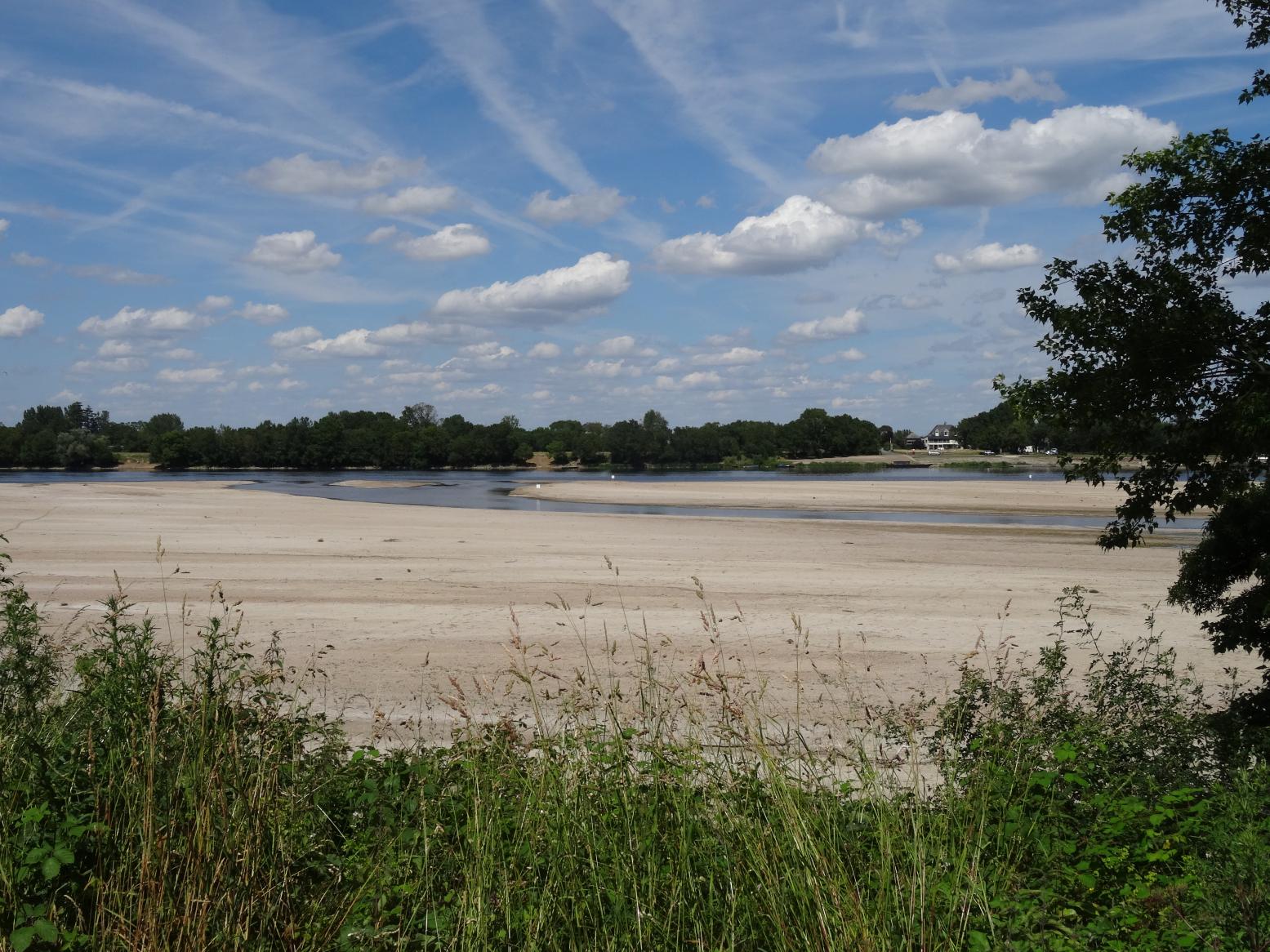 Balade sur les rives de la Loire (Vallée de la Loire)