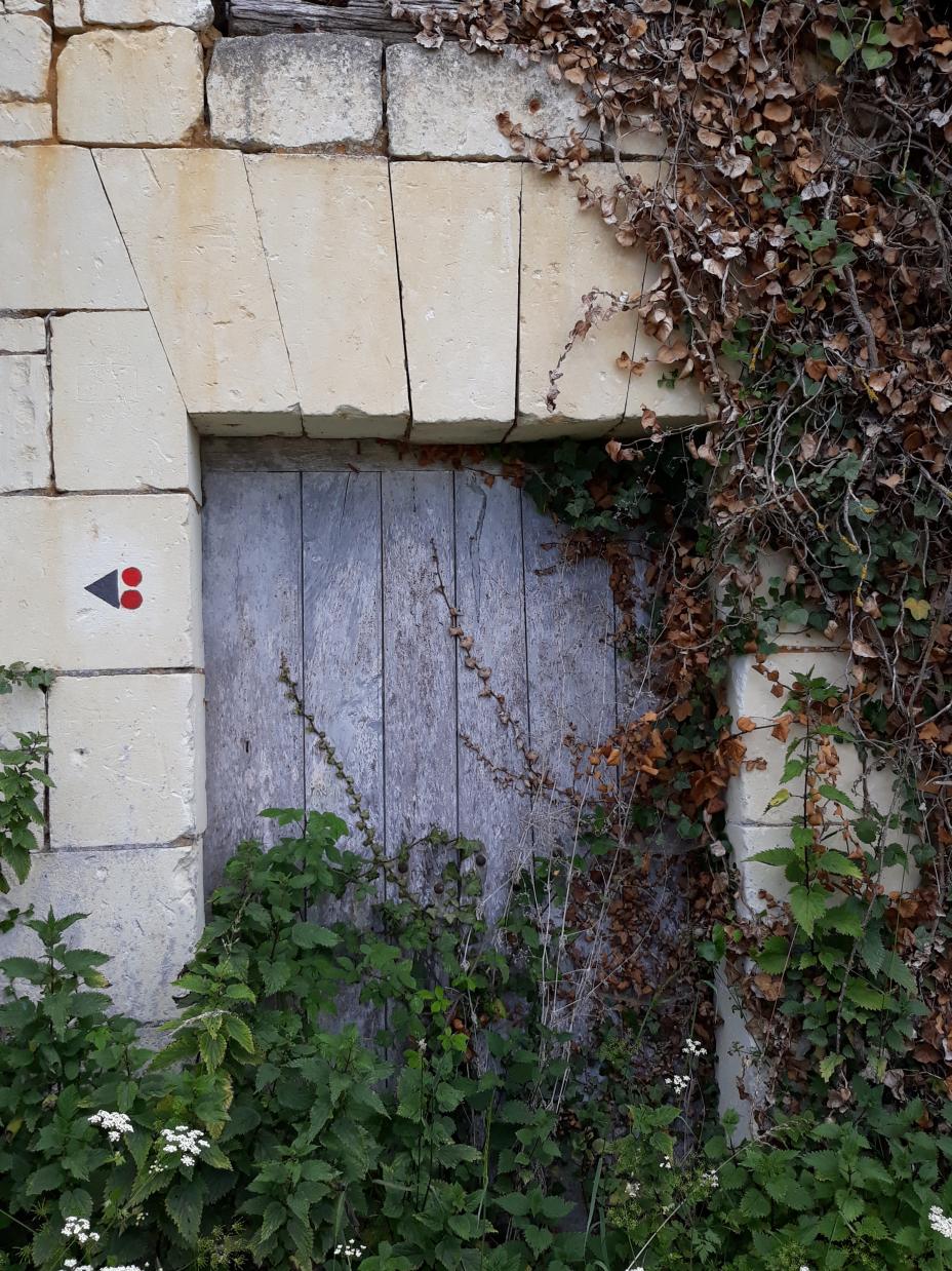 L'Abbaye de Fontevraud et ses alentours