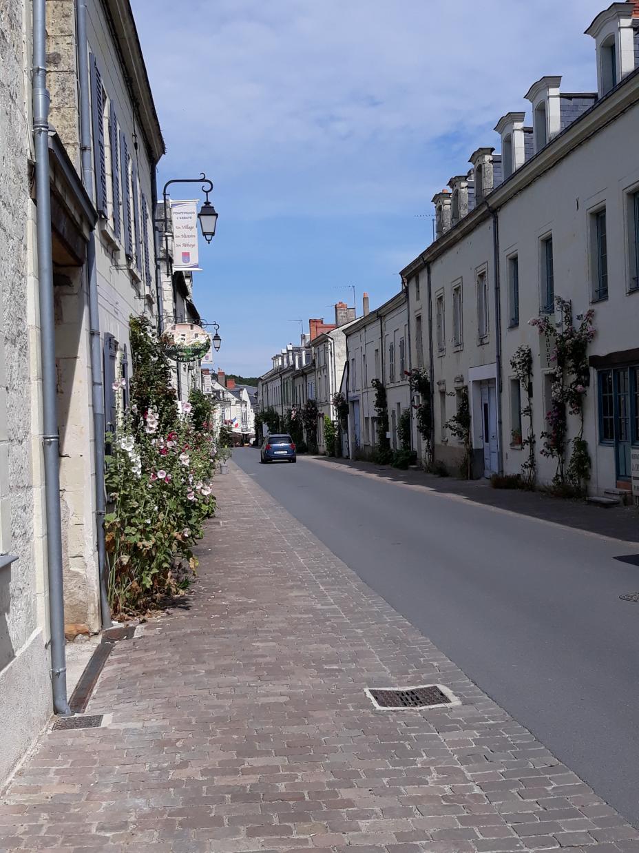 L'Abbaye de Fontevraud et ses alentours
