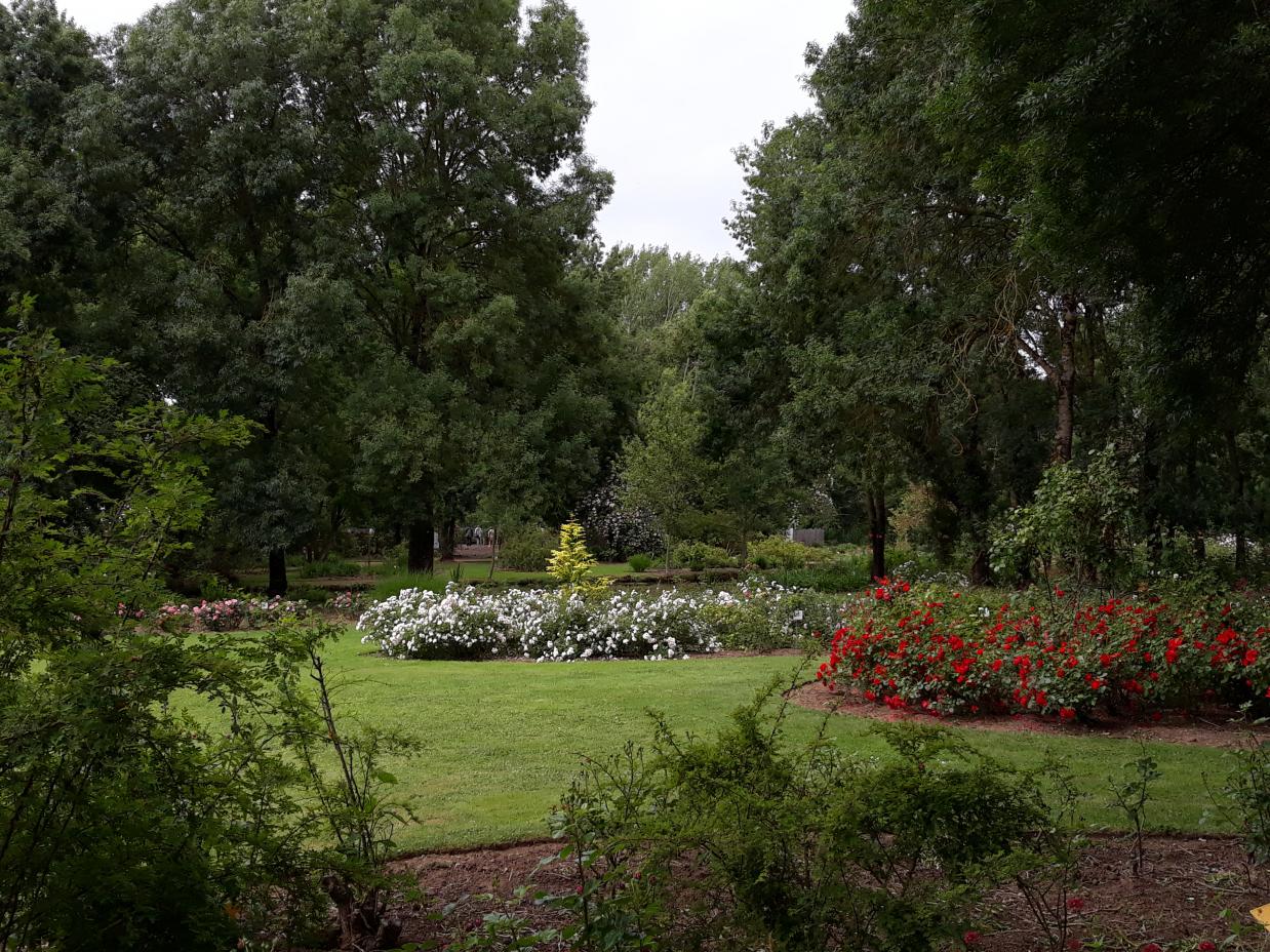 Les Chemins de la Rose (Val de Loire)