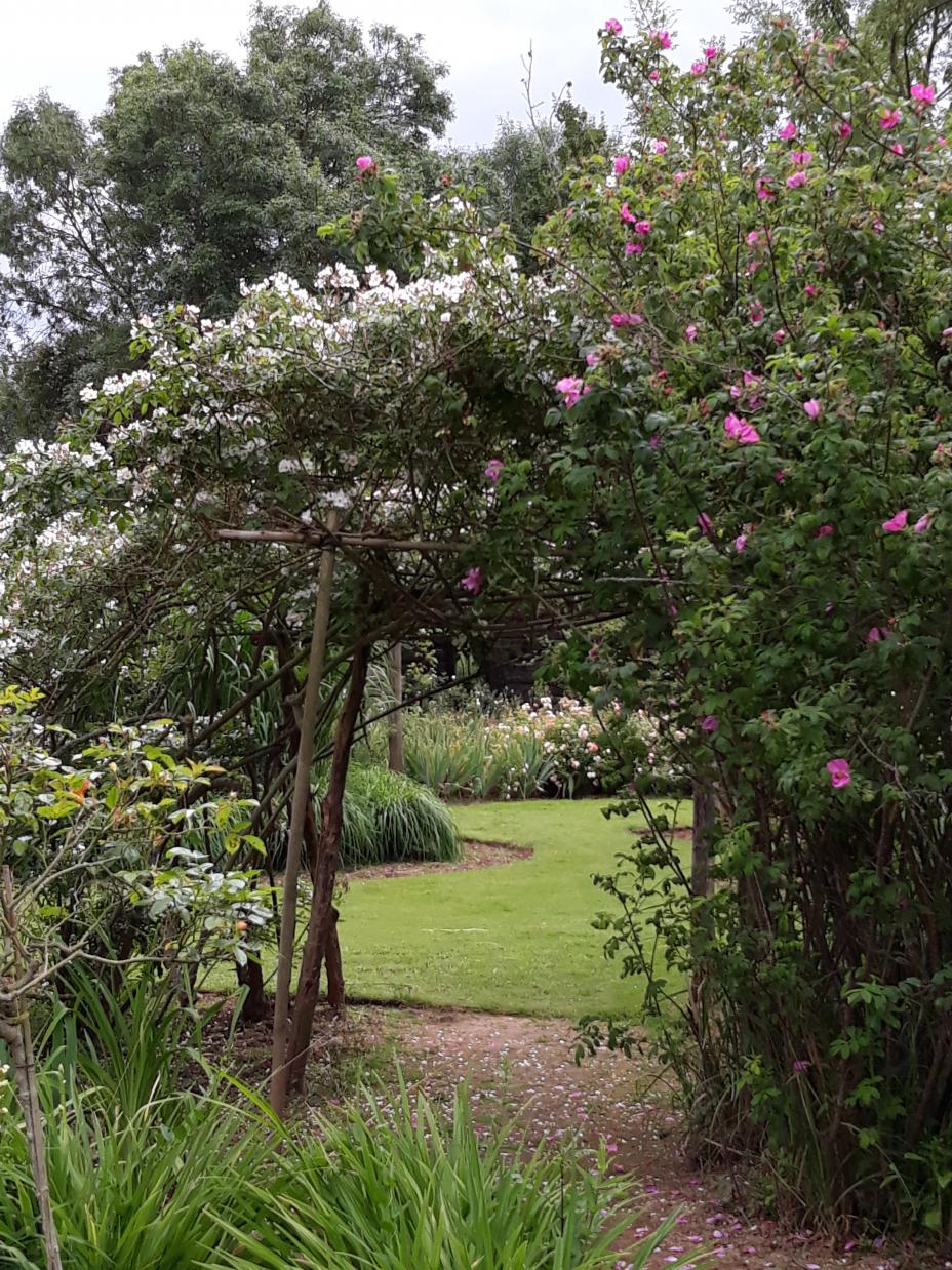Les Chemins de la Rose (Val de Loire)
