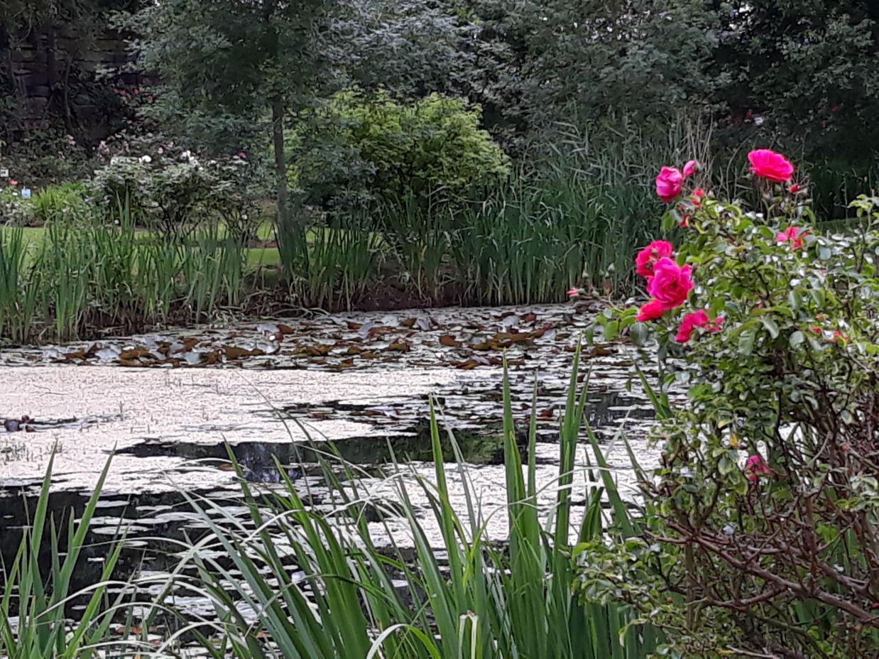 Les Chemins de la Rose (Val de Loire)