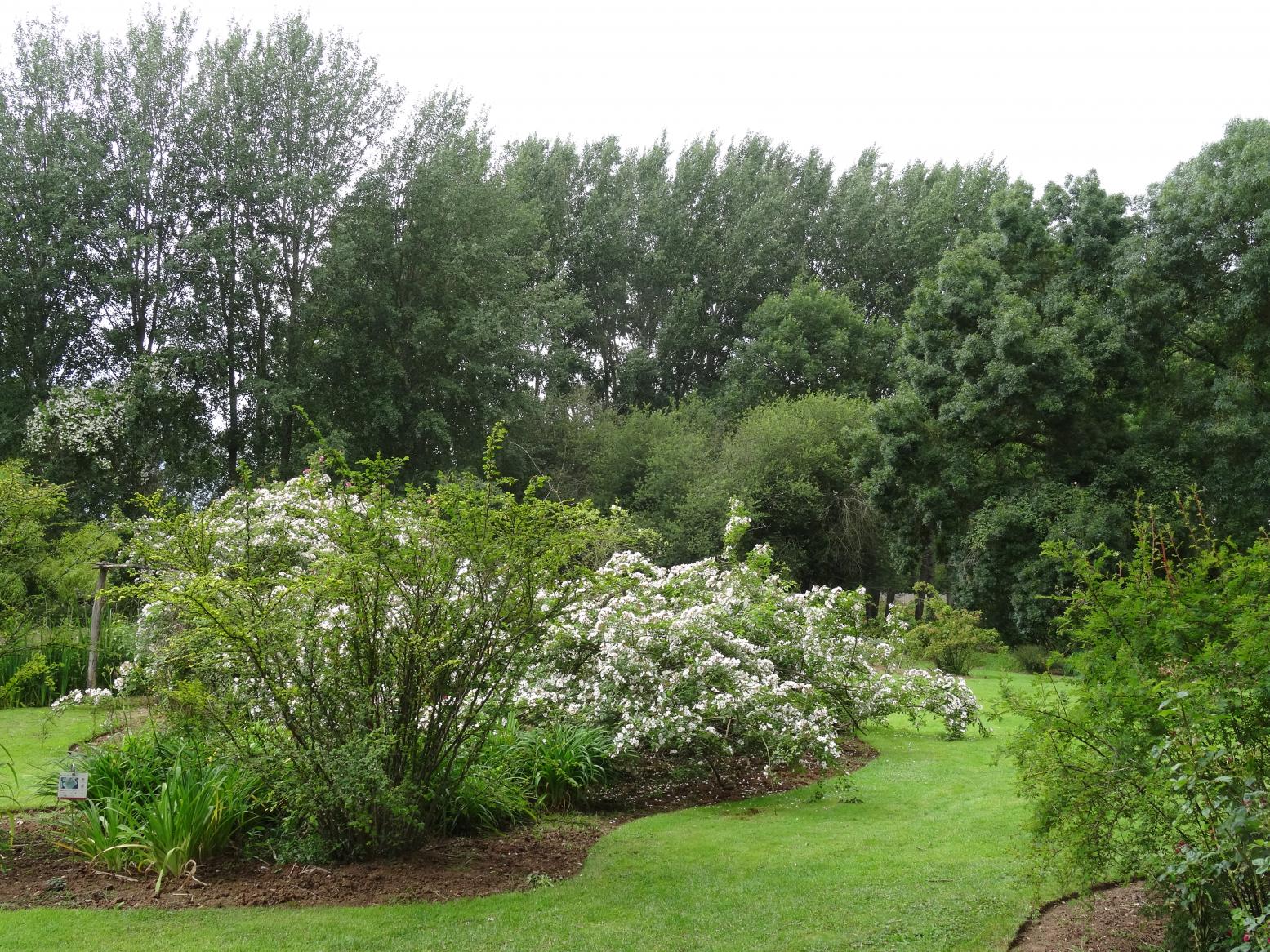 Les Chemins de la Rose (Val de Loire)