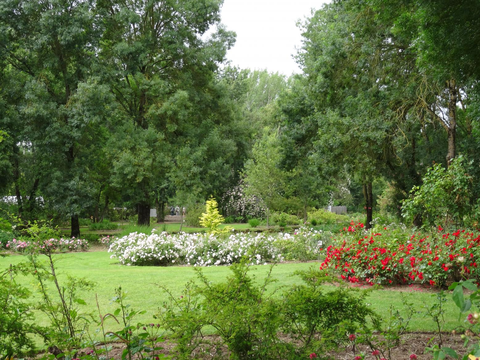 Les Chemins de la Rose (Val de Loire)