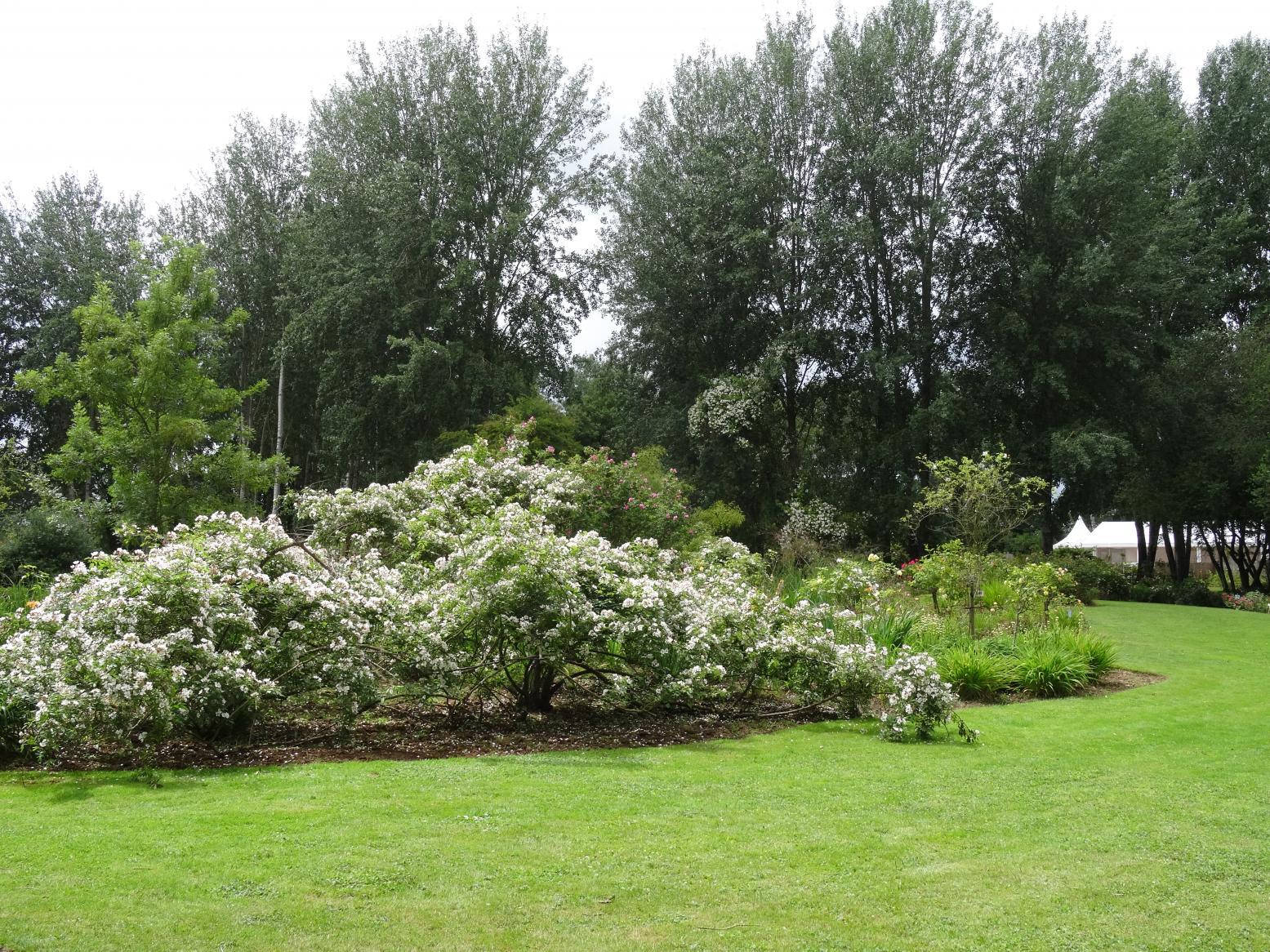 Les Chemins de la Rose (Val de Loire)
