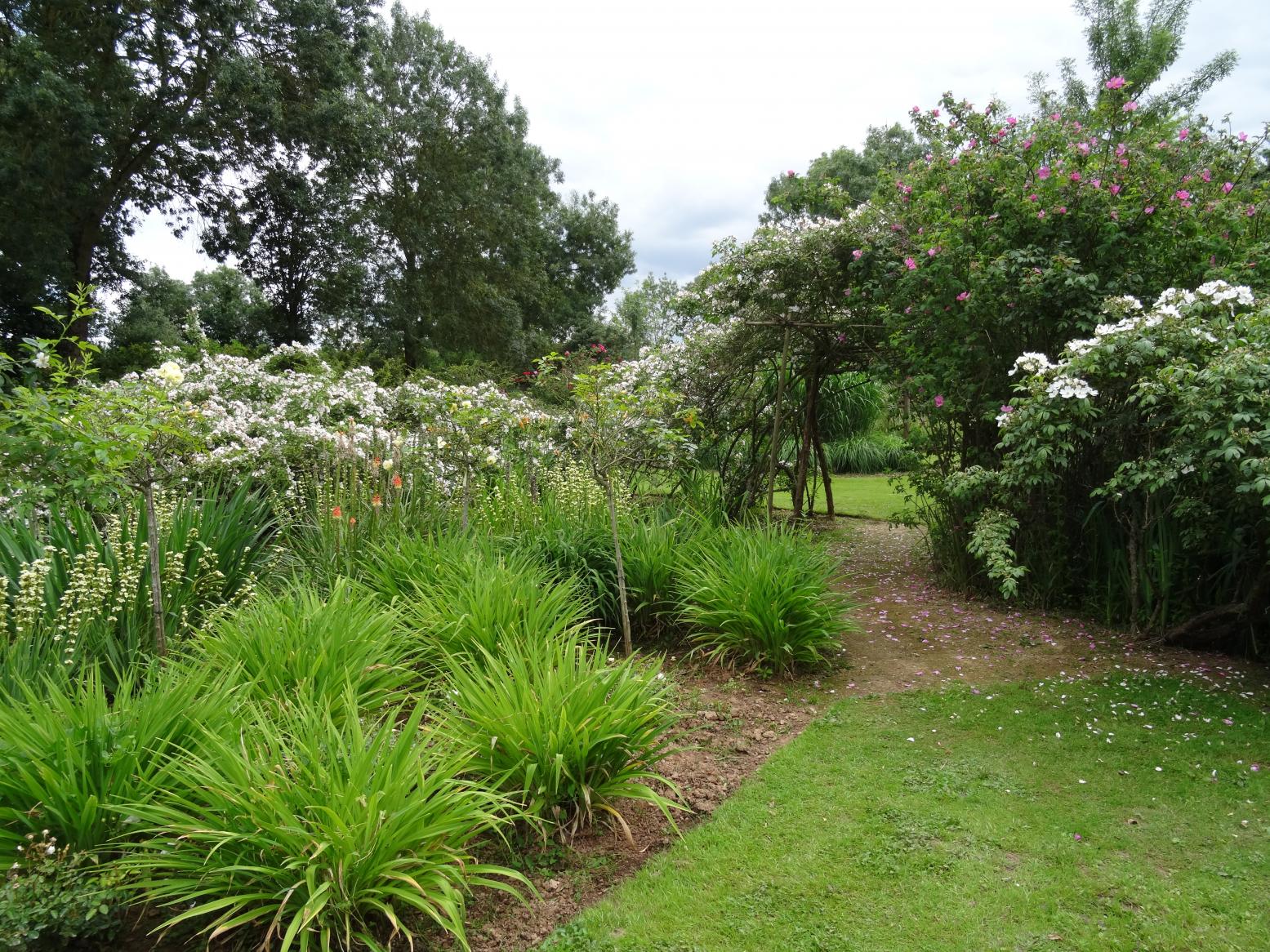 Les Chemins de la Rose (Val de Loire)