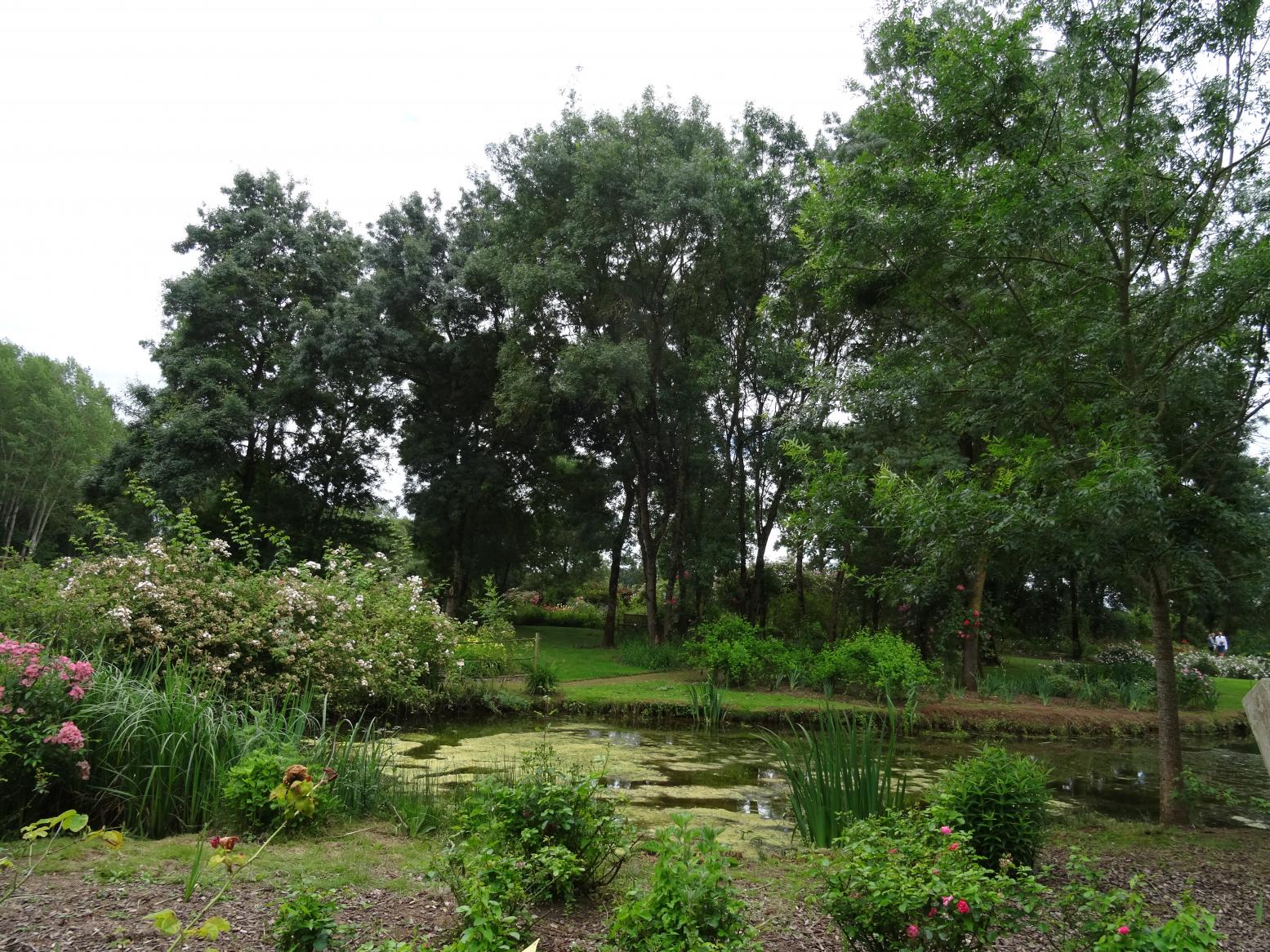 Les Chemins de la Rose (Val de Loire)