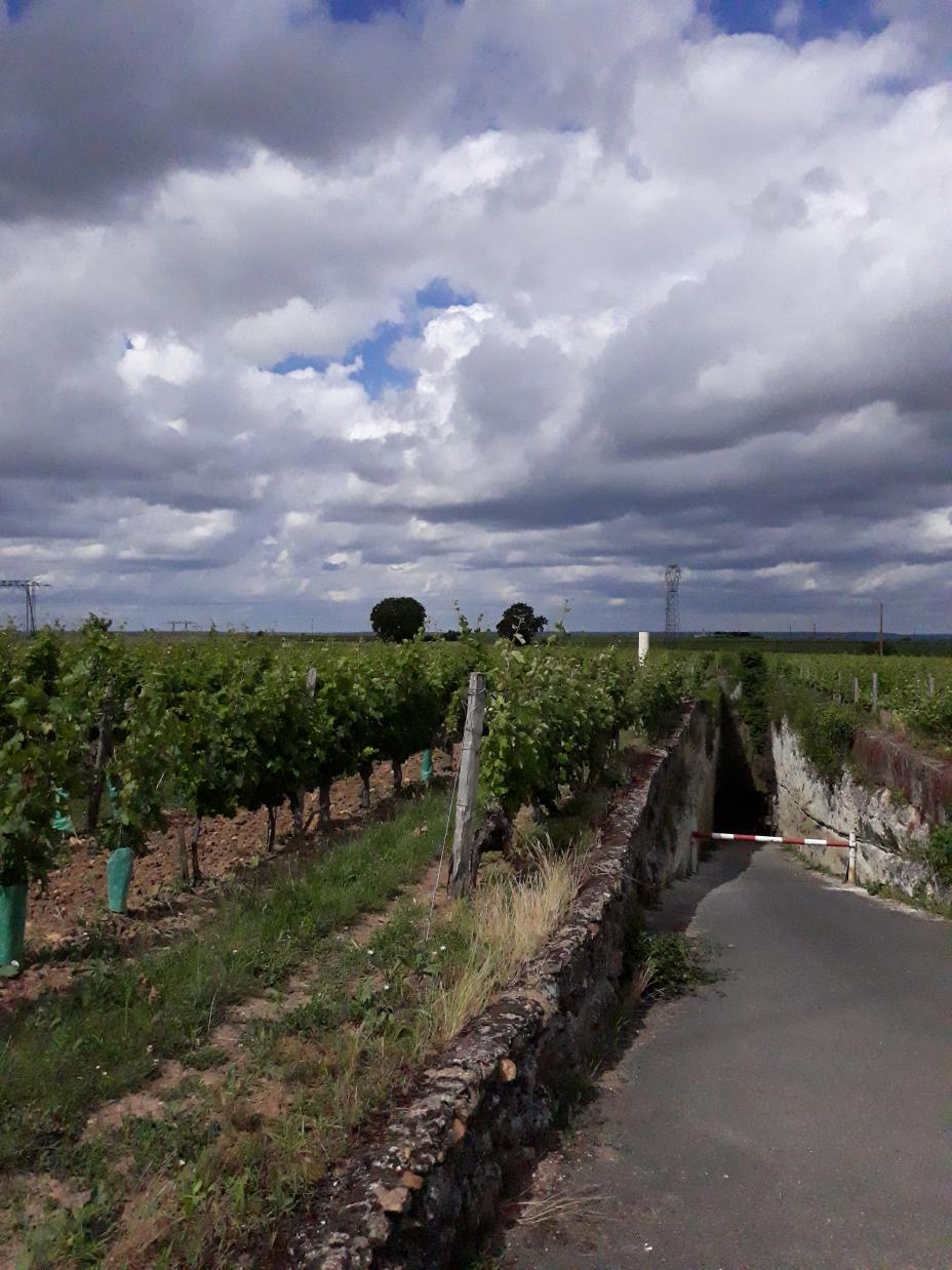 Montsoreau (Val de Loire)