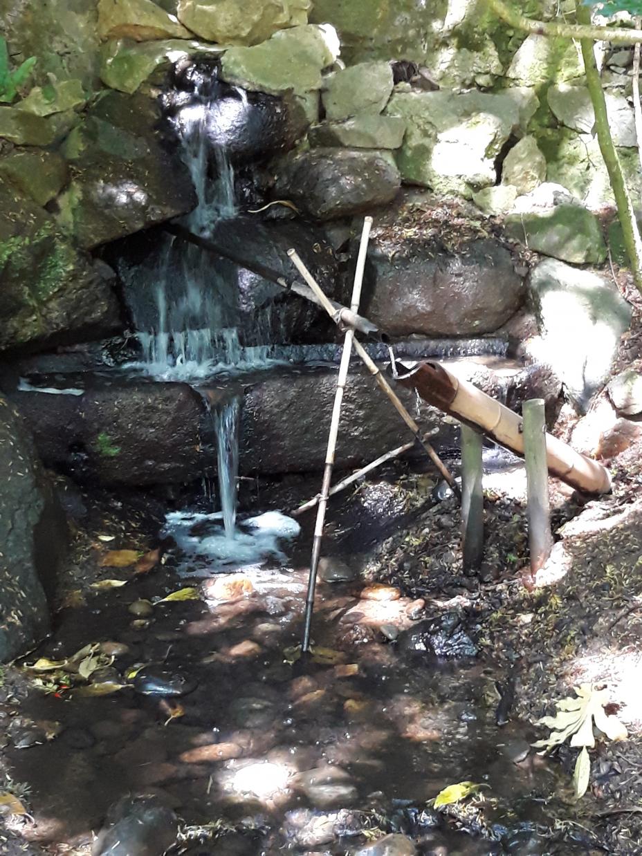 Parc Oriental de Maulévrier