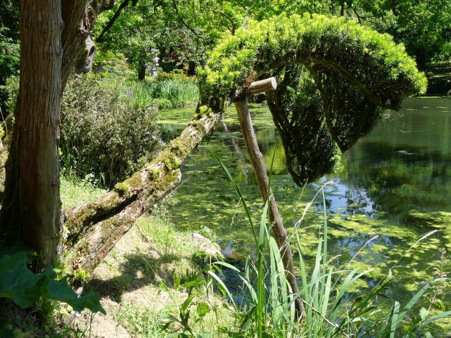 Parc Oriental de Maulévrier
