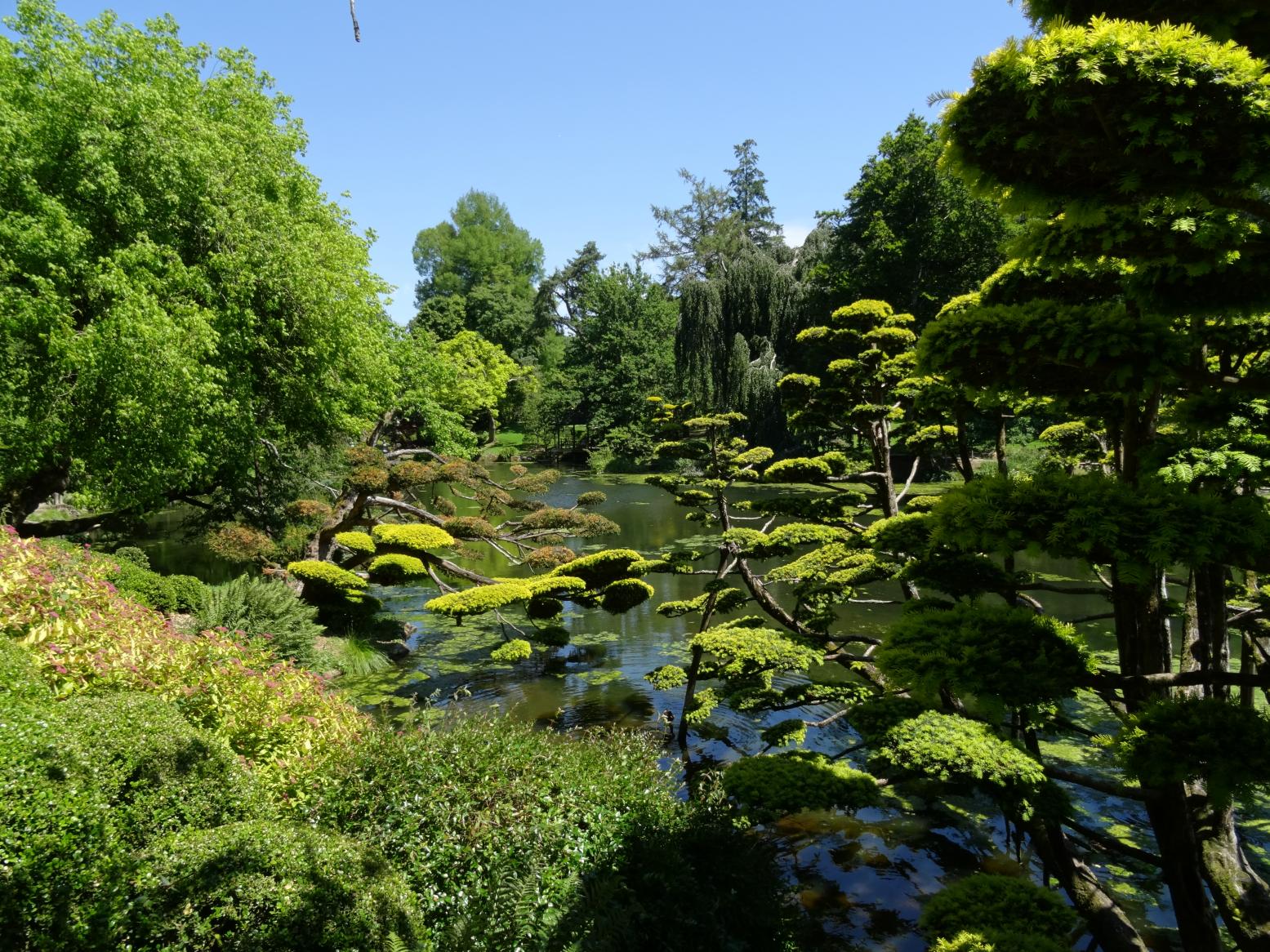 Parc Oriental de Maulévrier
