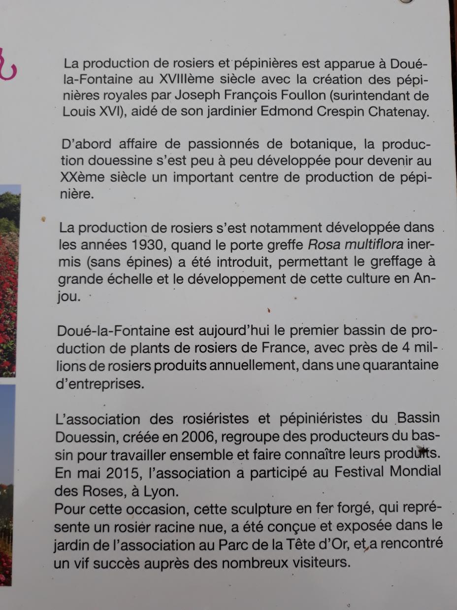 Roseraie Foulon (Val de Loire)