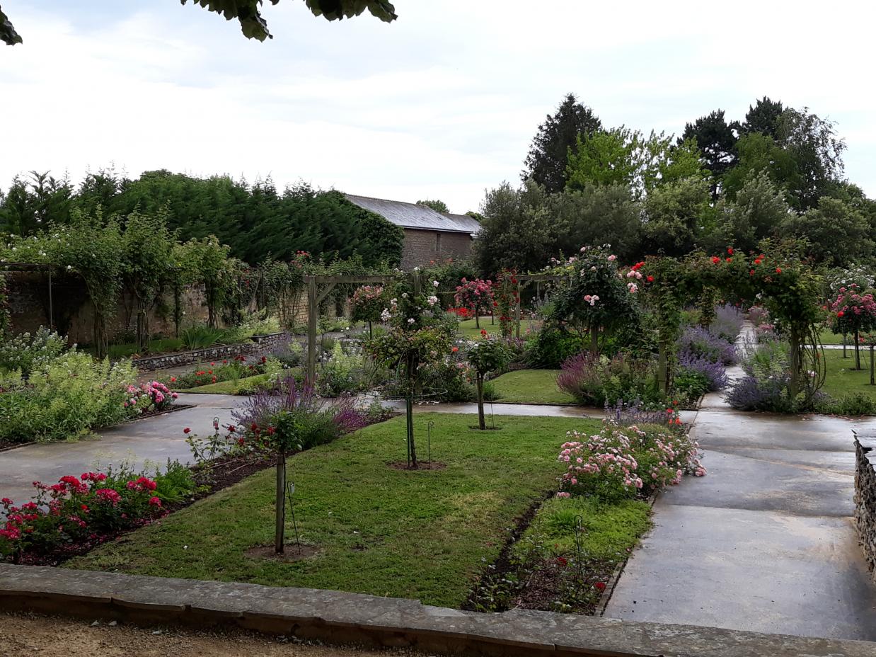 Roseraie Foulon (Val de Loire)