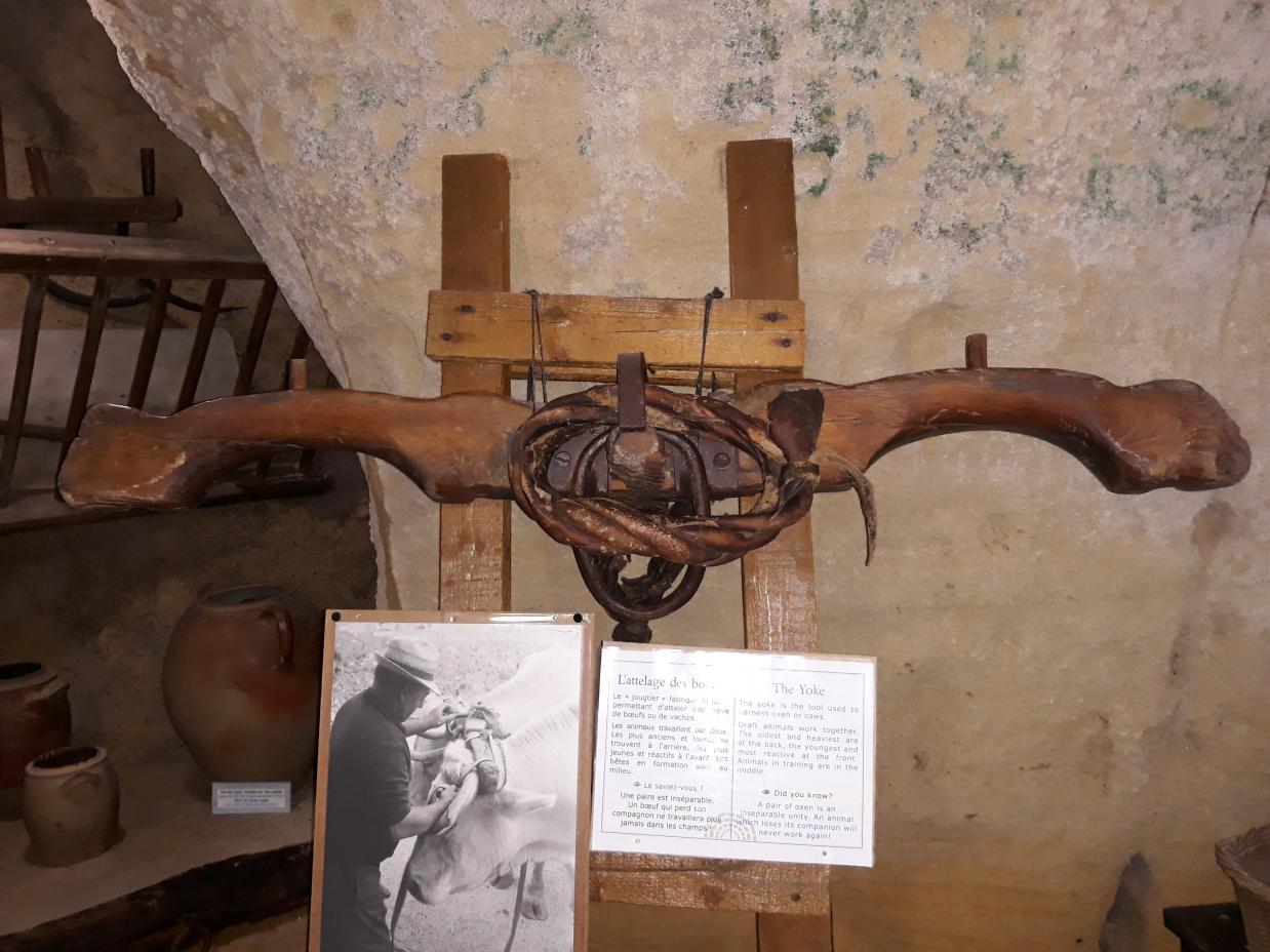 Visite du Musée Troglodyte