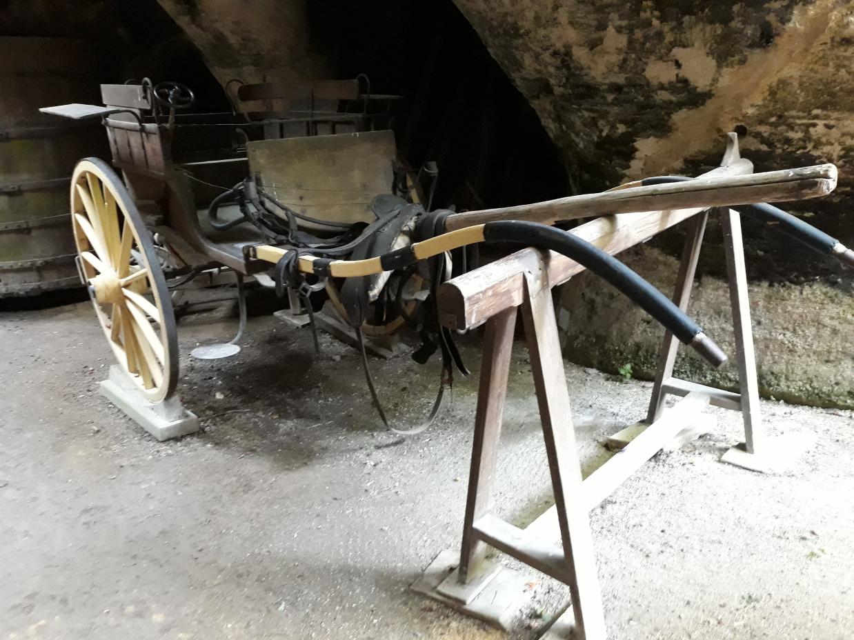 Visite du Musée Troglodyte