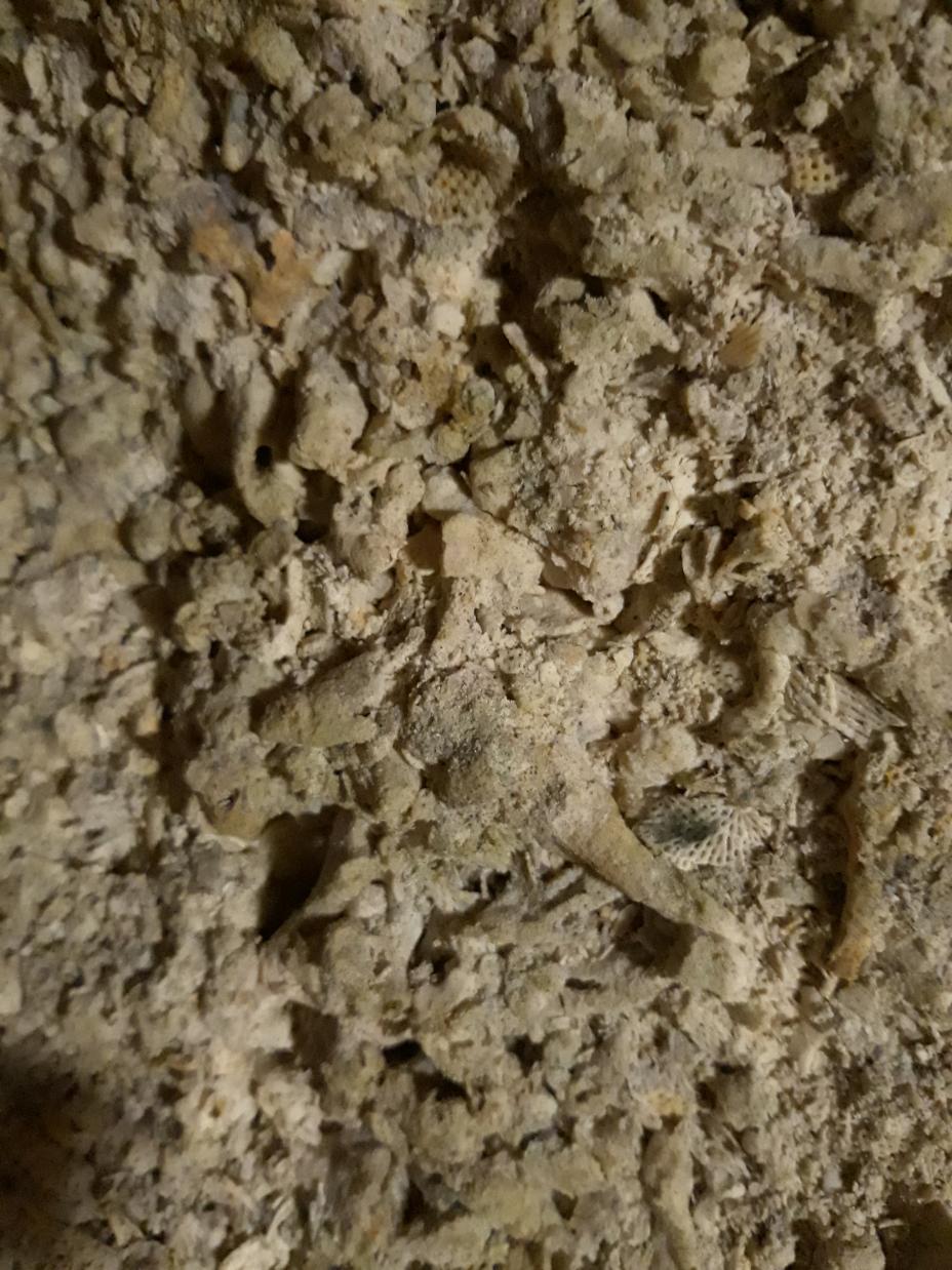Visite du Musée Troglodyte