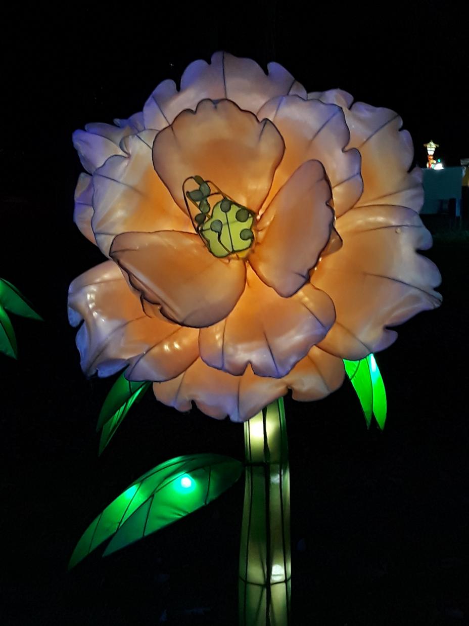 Gaillac 2019