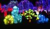 Gaillac 2019 deuxième partie